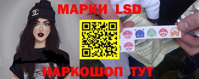 мдпв Камышлов