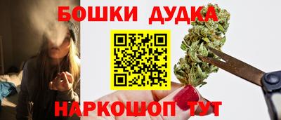 мдпв Камышлов