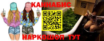мдпв Камышлов