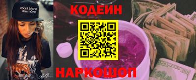 мдпв Камышлов