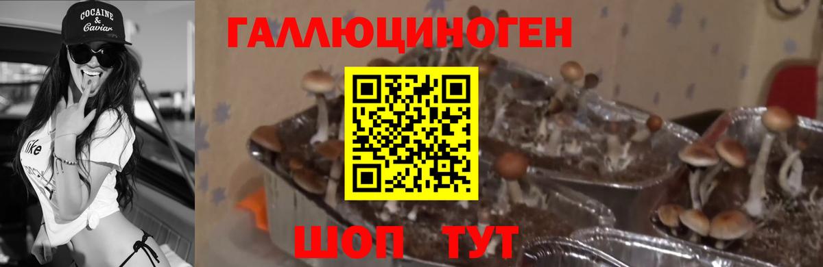 Псилоцибиновые грибы Psilocybe  Галлюциногенные грибы Cubensis  Славянск-на-Кубани  Вход с VPN 